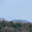 봄꽃소식과소백산비로봉의설경 이미지