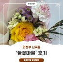 들꽃마을 | [의정부 신곡동] 의정부 꽃다발 '들꽃마을' 후기