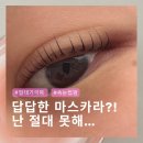 분당정자1-D-12 | 분당 정자역 속눈썹펌 추천💖 유목민 정착 니드유브로우 내돈내산 후기