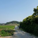 옥호1리마을회관 이미지