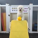 멍데이 유치원 이미지