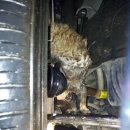 검암119안전센터 이미지