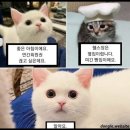 동경생포차 - 유성구 테크노1로 12-28 | 동경생포차