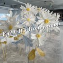 안녕 난 일개미 Ep.20 웨딩에 허니문 빠지면 섭해:) 조아라투어 계약후기