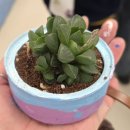 예쁜쓸모 새활용공예 | [ESG 공예 프로그램 추천] 버려지는 캔의 놀라운 재탄생! ♻️ 참치캔·음료캔 업사이클링 화분 만들기