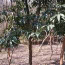 두척동010 이미지