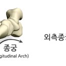 바른운동 이미지