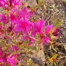 땅이야기공인중개사사무소 이미지