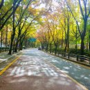 목동동로2길 이미지