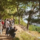 산골목장 이미지