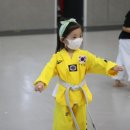 사계절푸른솔 태권도 이미지