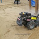 은평초등(병설) 이미지