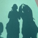 갈맷길 5코스 5-1구간 | [🐦‍🔥걷기] 부산갈맷길 5코스 1구간 갈맷길700리(278.8km) 새를 원없이 볼 수 있는 탐조길 명품길 걷기 5...