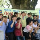 봉평동사무소 이미지