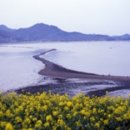 신비의바닷길 특산품 이미지