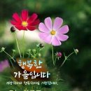 에이스환경 이미지