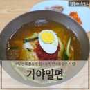 388-1-000028 | 양산북정동맛집 양산밀면맛집 물같은비빔추천 '가야밀면'