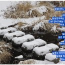 징검다리 이미지