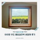 돌 민박 | 아기랑 우도숙소 돌담길민박 바깥채 내돈내산 후기