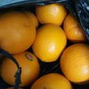 원미상회 이미지