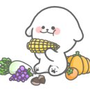 행복하개 희희멍멍 이미지