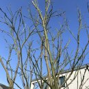 제주도펜션 브리니프라이빗 이미지