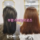 부평마그네 | 부평 라비앙르로즈 염색 탈색 머리잘하는 미용실 젤리 부원장