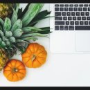 복싱크래쉬 이미지