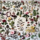 노드정보기술 (주) 이미지