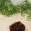 (주)신왕물산 - 송파구 | (주)신왕물산