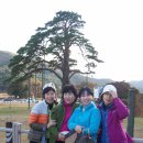 동산장 이미지