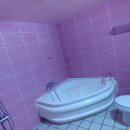 아비숑모텔 이미지