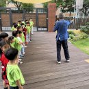 다솜 :) 여섯살의 나무 인문학, 나무 박사님과의 만남 이미지