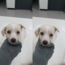 외동열매지역아동센터 이미지