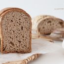 리온에너지 이미지