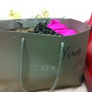 유나제이 이미지