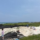 월정포인트 | 제주도 6월 스노클링 명소 추천! 코난비치(코난해변)와 코난비치스노쿨링 월정점 이용 후기