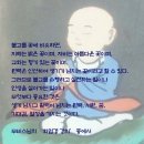 불교의 꽃 / 무비스님 이미지