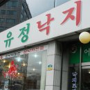 유정낙지 티스토리