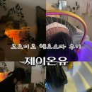 제이스파 | [공지] 칠곡 왜관 코즈미코 헤드스파 ㅣ제이온유 내돈내산 힐링 후기