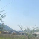 본포생태공원(주차장) 이미지