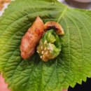 경기도 시흥 정왕동 - 줄 서서 먹는 전라도 연탄구이 내돈내산 후기
