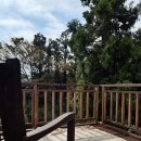 제주도작은집