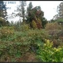 도순주유소 이미지