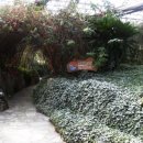 극복 농장 이미지