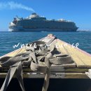 SOON FIT | 크루즈 승무원 인터뷰 준비 (3) – 이것만은 꼭! 필수 질문 100가지 리스트 업