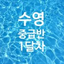 관저다목적체육관 | [관저다목적체육관] 수영 중급반 1개월차 솔직 후기