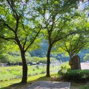 빙계군립공원 | 조용한 여름, 빙계계곡 (의성8경)에 가다. / 의성 오비아(ovia) 카페, 의성 청춘어람