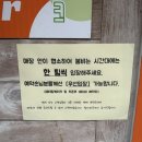 오도르(Odor) | 수원두쫀쿠 맛집 오도르 케이크두쫀쿠·말초쿠·아쫀쿠 다 먹어본 찐 후기 수원 디저트맛집 수원 두쫀쿠...