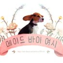 꼬꼬마을숯불바베큐 이미지